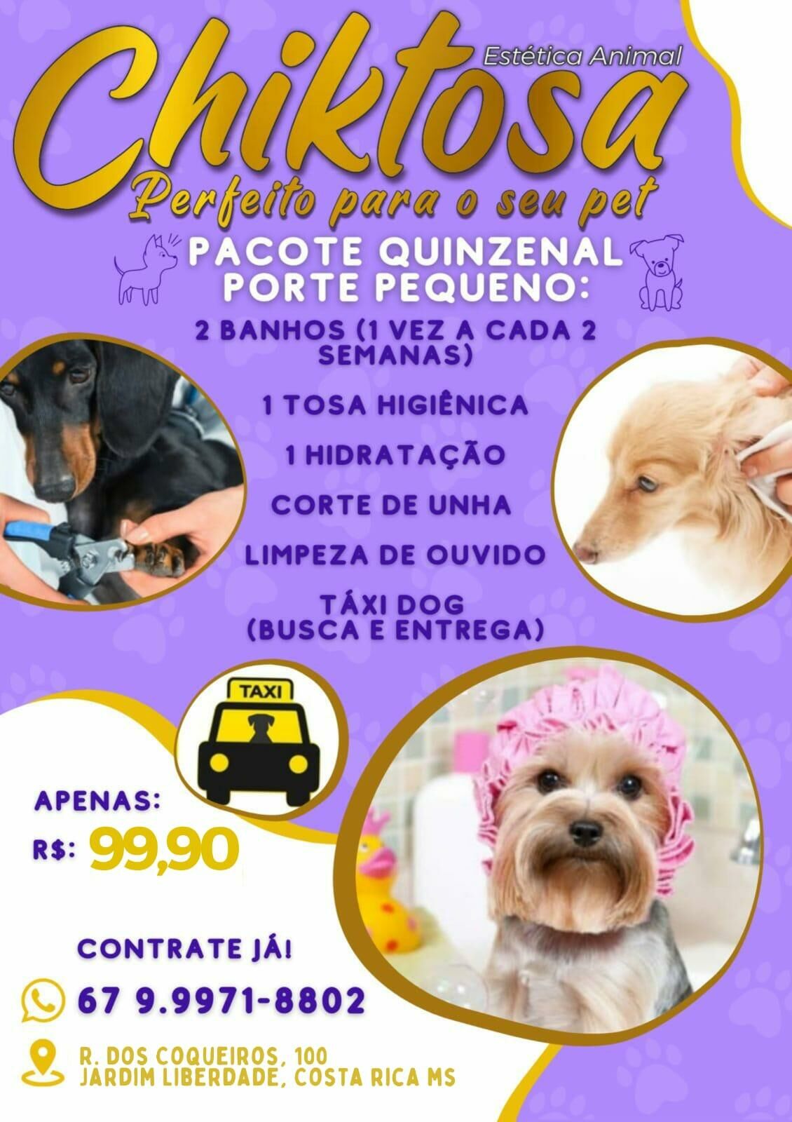 Imagem de compartilhamento para o artigo Pet Shop Chiktosa oferece pacotes promocionais de banho e tosa para seu melhor amigo em Costa Rica da MS Todo dia